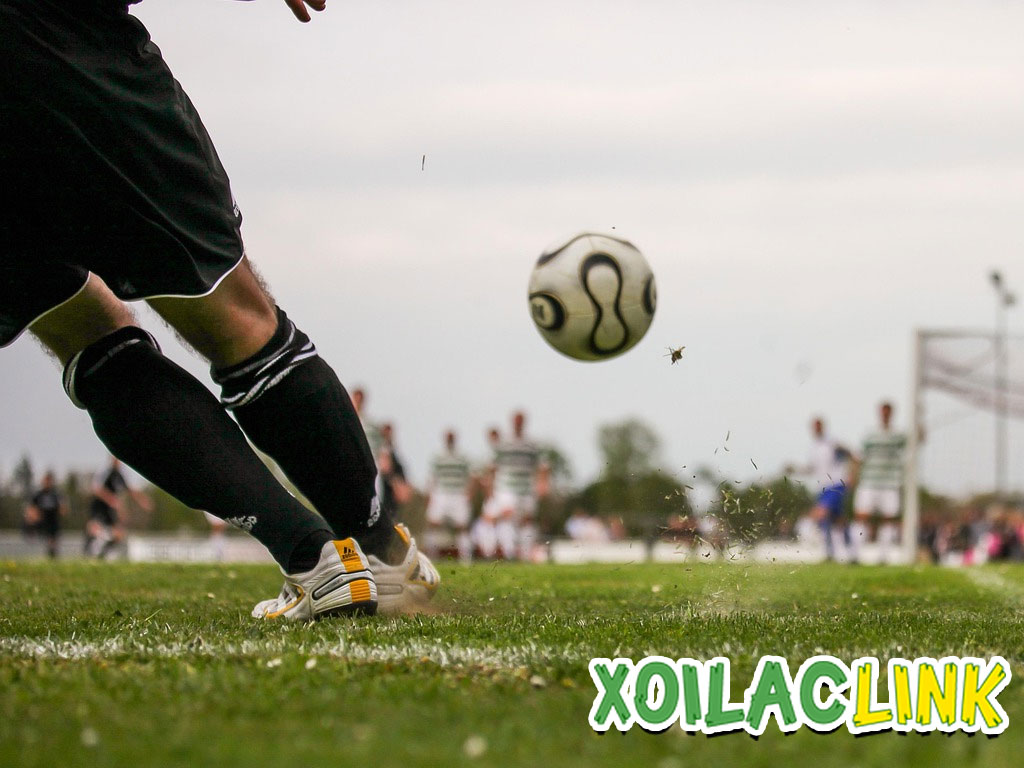 thong-tin-mien-tru-trach-nhiem-ban-can-luu-y