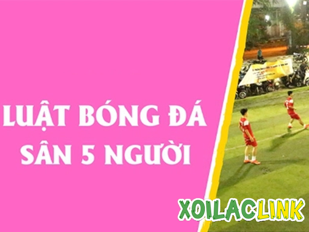 luat-bong-da-san-5-nguoi
